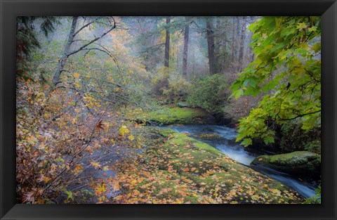 Framed Snow in Fall Print