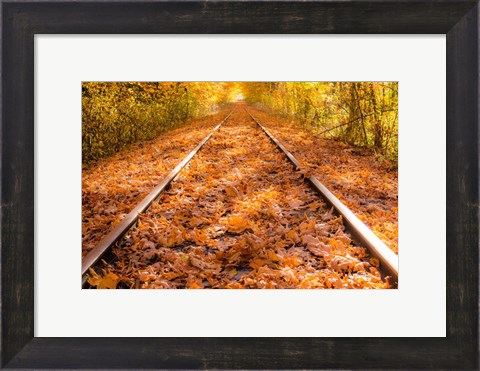 Framed Train Tracks in The Fall Print