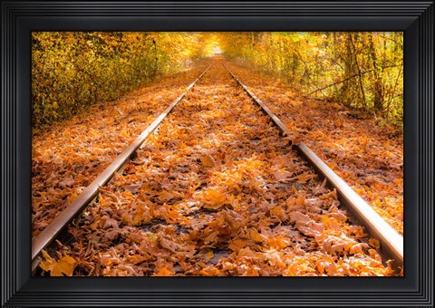 Framed Train Tracks in The Fall Print