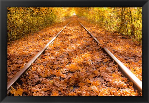 Framed Train Tracks in The Fall Print