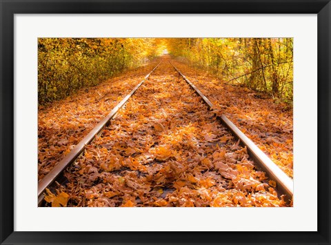 Framed Train Tracks in The Fall Print