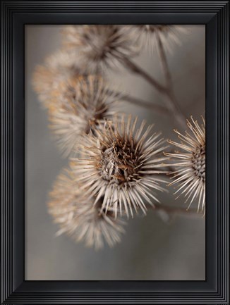 Framed Avantgarde Print