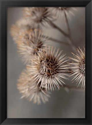 Framed Avantgarde Print