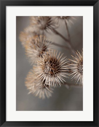 Framed Avantgarde Print
