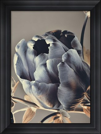 Framed Baroque 3 Print