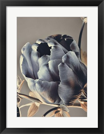 Framed Baroque 3 Print