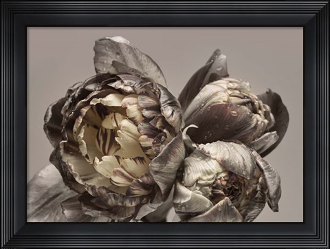 Framed Baroque 4 Print