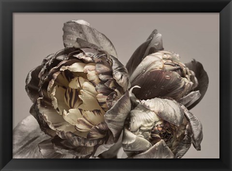 Framed Baroque 4 Print
