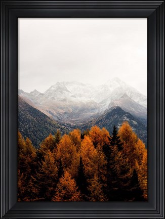Framed Bishop 17 Print