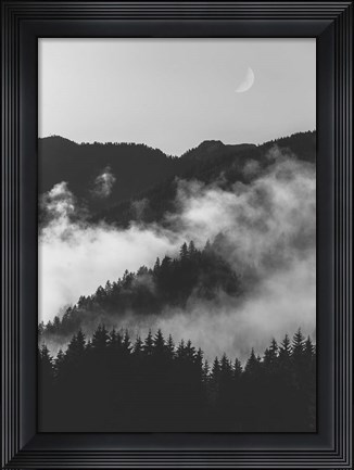 Framed Bishop 19 Print