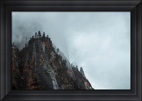 Framed Bishop 5 Print