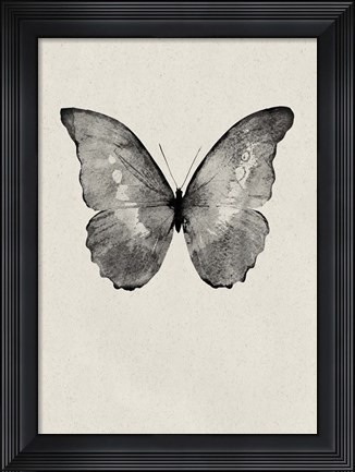 Framed Black Butterfly on Tan Print