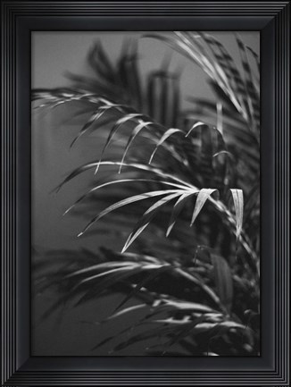 Framed Black Plant Print
