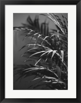 Framed Black Plant Print