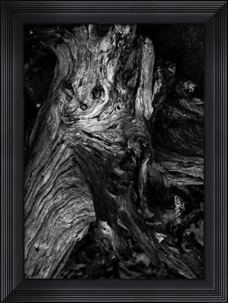 Framed Black Wood Print