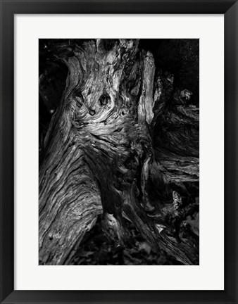 Framed Black Wood Print