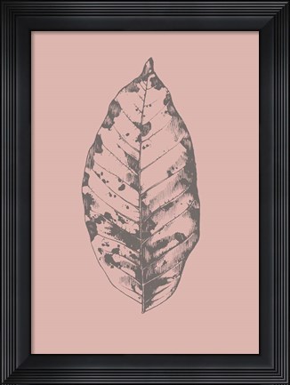 Framed Botanica 1 Print