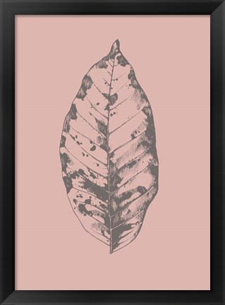 Framed Botanica 1 Print