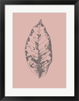 Framed Botanica 1 Print