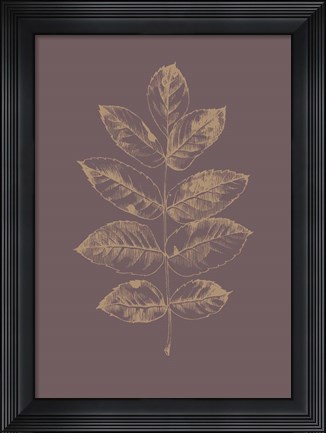 Framed Botanica 2 Print