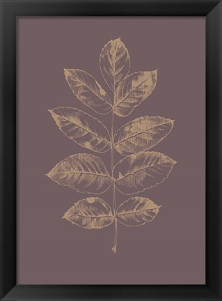 Framed Botanica 2 Print