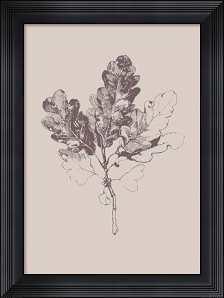 Framed Botanica 3 Print