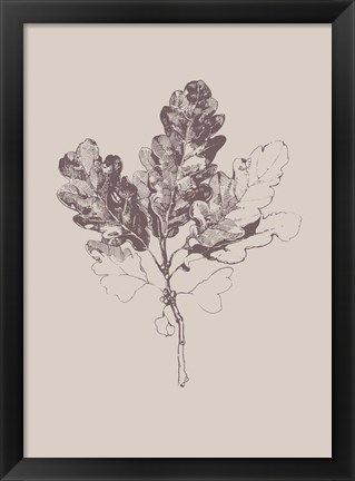 Framed Botanica 3 Print