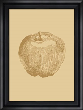 Framed Botanica 4 Print