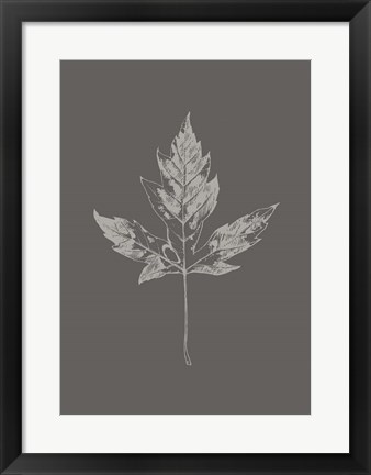 Framed Botanica 5 Print