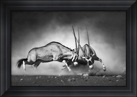 Framed Combat Print