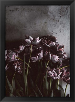 Framed Dark Tulips Print