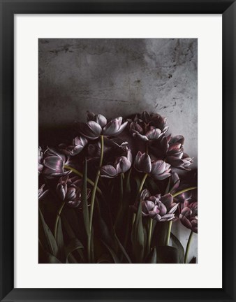 Framed Dark Tulips Print