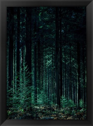 Framed Deep Green Print