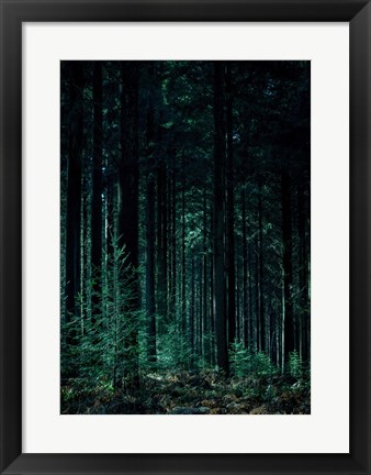 Framed Deep Green Print