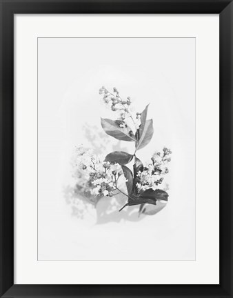 Framed Evie Print