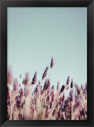 Framed Field Haze Print