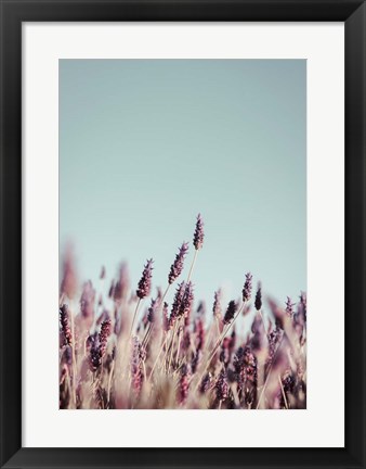 Framed Field Haze Print