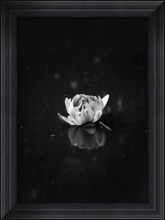 Framed Floating 2 Print