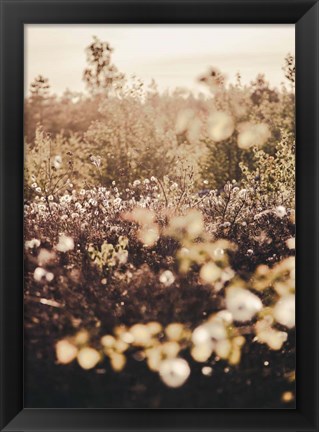 Framed Golden Field Print