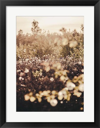 Framed Golden Field Print