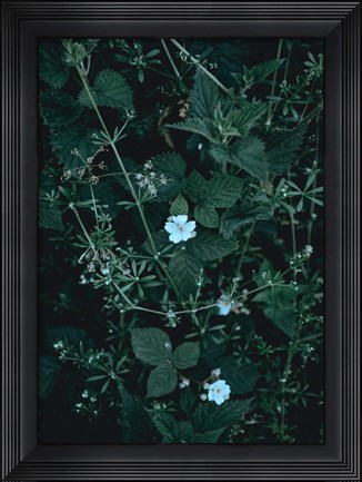 Framed Greenery Print