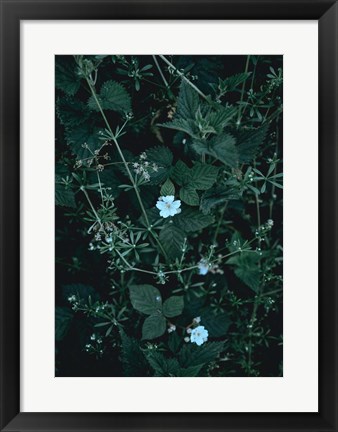 Framed Greenery Print