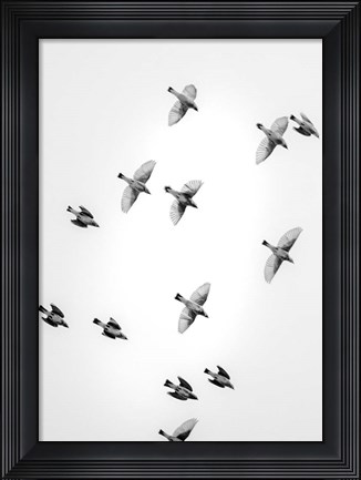 Framed In the Sky 1 Print