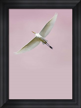 Framed In the Sky 2 Print
