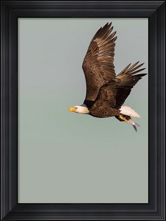 Framed In the Sky 3 Print