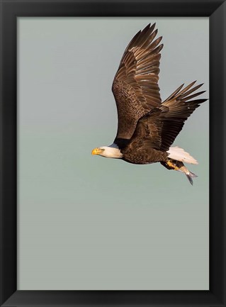 Framed In the Sky 3 Print