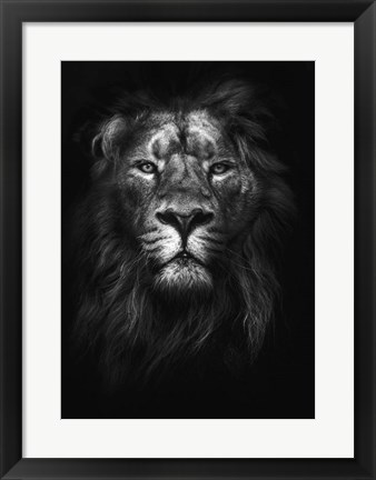 Framed King of Kings Print