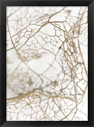 Framed Leaf Skeleton Print