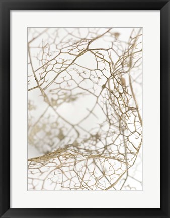 Framed Leaf Skeleton Print