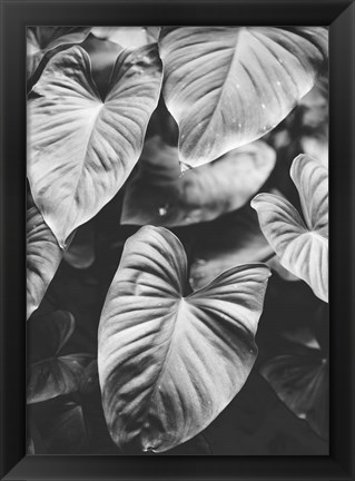 Framed Leaves of Grey Print